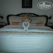 фото из отзыва ID 923855