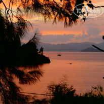 фото из отзыва ID 923755