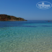 фото из отзыва ID 923909