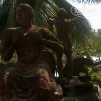 фото из отзыва ID 923638