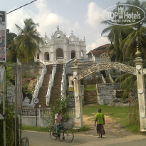 фото из отзыва ID 923638