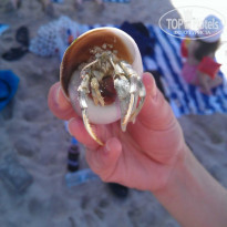 фото из отзыва ID 923686