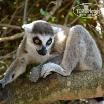 фото из отзыва ID 923909