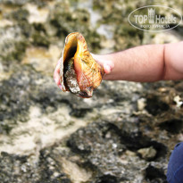 фото из отзыва ID 924028