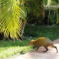 фото из отзыва ID 924028