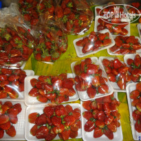 фото из отзыва ID 924129