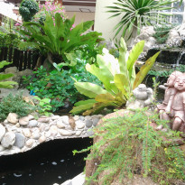 фото из отзыва ID 924179