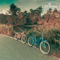 фото из отзыва ID 924204