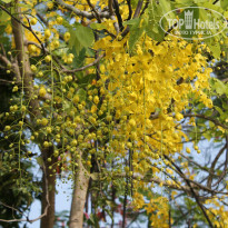 фото из отзыва ID 924309