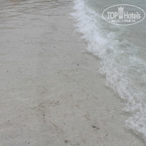 фото из отзыва ID 924309