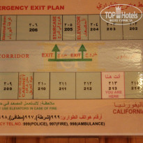 фото из отзыва ID 924346