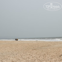 фото из отзыва ID 924394