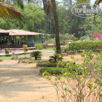 фото из отзыва ID 924394