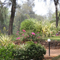 фото из отзыва ID 924394