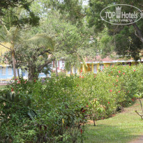 фото из отзыва ID 924394