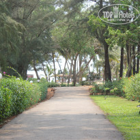 фото из отзыва ID 924394