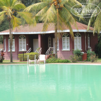 фото из отзыва ID 924394