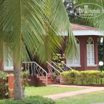 фото из отзыва ID 924394