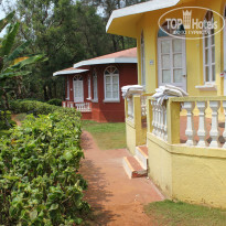 фото из отзыва ID 924394