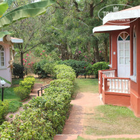 фото из отзыва ID 924394