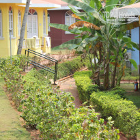 фото из отзыва ID 924394