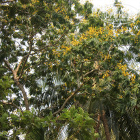 фото из отзыва ID 924394