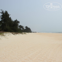 фото из отзыва ID 924394