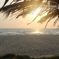 фото из отзыва ID 924394