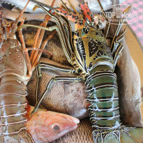 фото из отзыва ID 924394