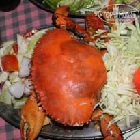 фото из отзыва ID 924394