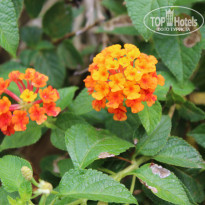 фото из отзыва ID 924413