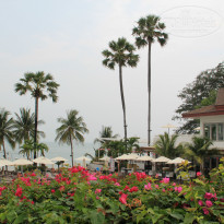 фото из отзыва ID 924466