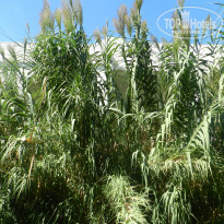 фото из отзыва ID 924788