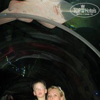 фото из отзыва ID 924835