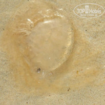 фото из отзыва ID 924166