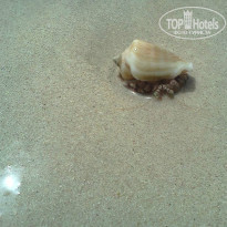 фото из отзыва ID 924166