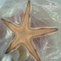 фото из отзыва ID 924166