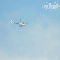 фото из отзыва ID 924166