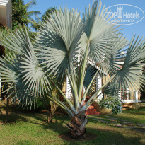 фото из отзыва ID 924980