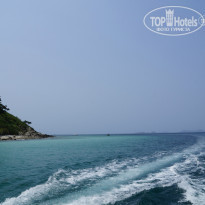 фото из отзыва ID 924891