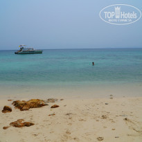 фото из отзыва ID 924891