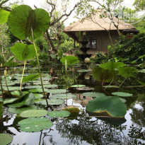 фото из отзыва ID 924341