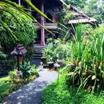 фото из отзыва ID 924341