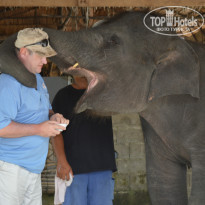 фото из отзыва ID 924503