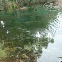 фото из отзыва ID 925014