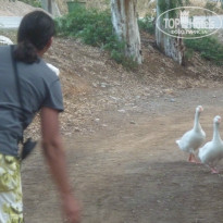 фото из отзыва ID 925014