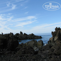 фото из отзыва ID 925303