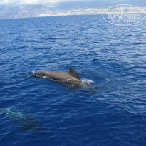 фото из отзыва ID 925303