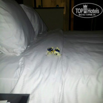 фото из отзыва ID 925354