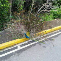 фото из отзыва ID 925354